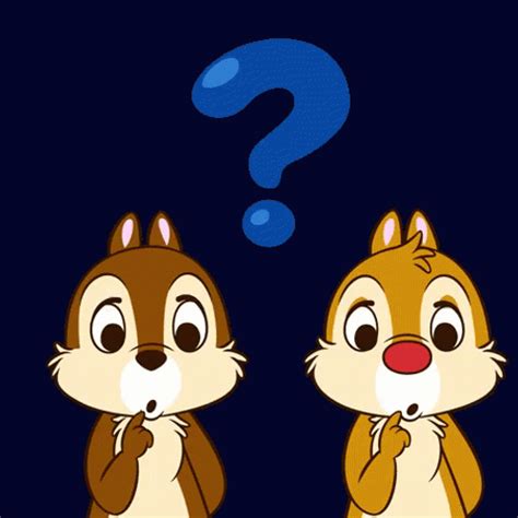 question gif|question funny gif.